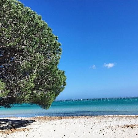 Appartement Proche Des Plus Belles Plages Porto-Vecchio  Exteriör bild
