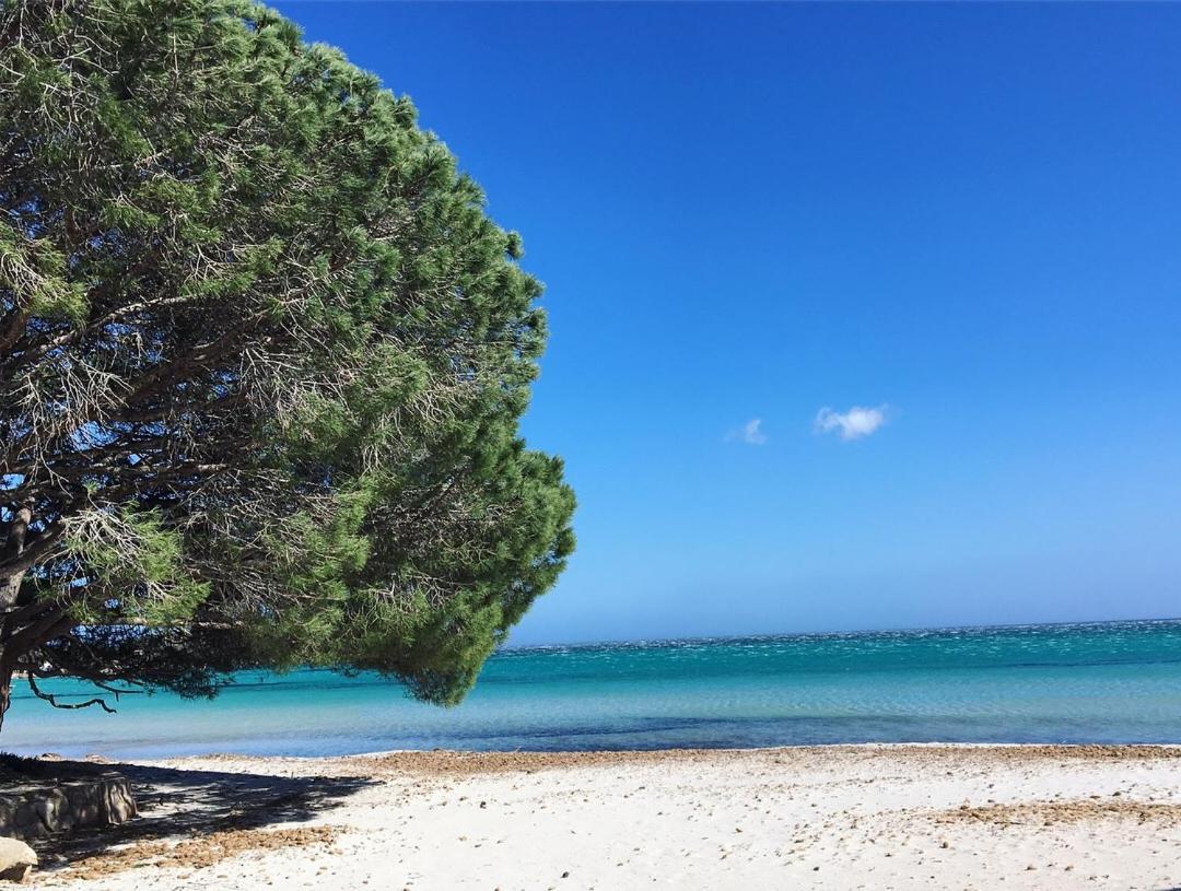 Appartement Proche Des Plus Belles Plages Porto-Vecchio  Exteriör bild