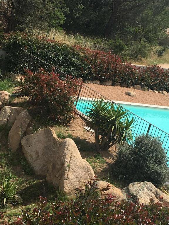 Appartement Proche Des Plus Belles Plages Porto-Vecchio  Exteriör bild