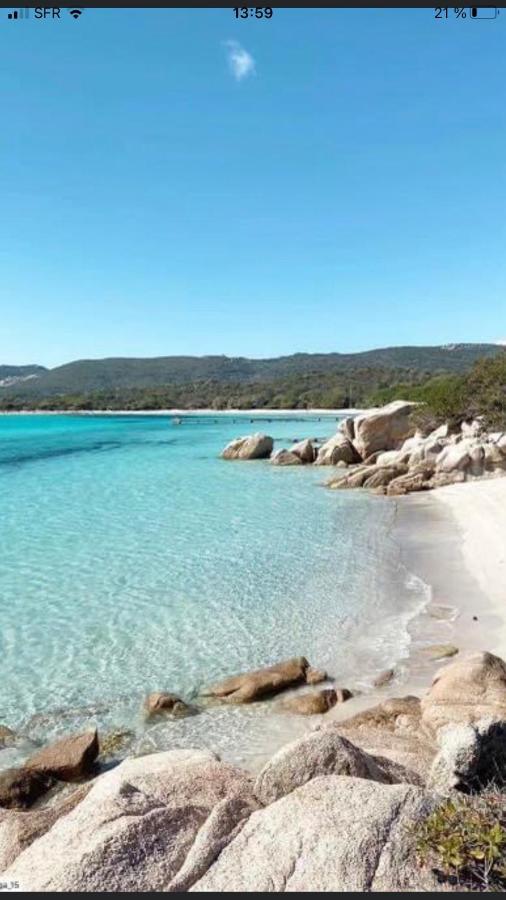 Appartement Proche Des Plus Belles Plages Porto-Vecchio  Exteriör bild